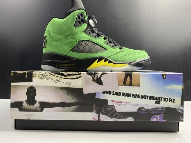 Rep SE Oregon 5 CK6631-307 Air Jordan Ducks 0818
